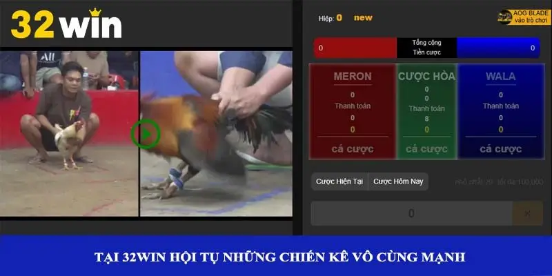 Tại 32win hội tụ những chiến kê vô cùng mạnh