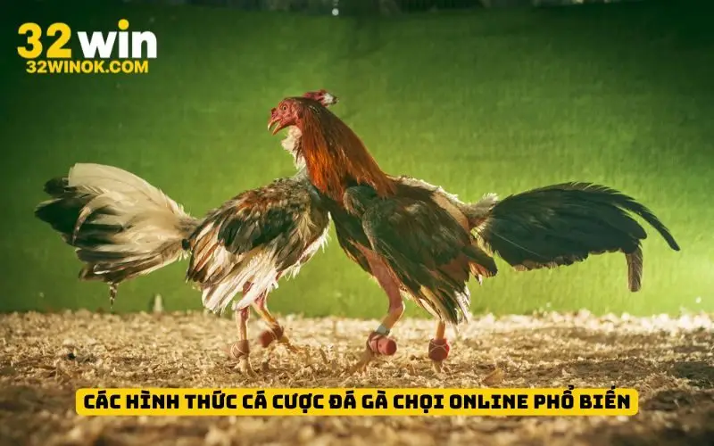 Các hình thức cá cược đá gà chọi online phổ biến