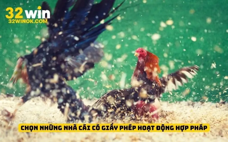 Chọn những nhà cái có giấy phép hoạt động hợp pháp