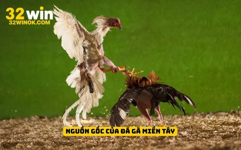 Nguồn gốc của đá gà miền Tây