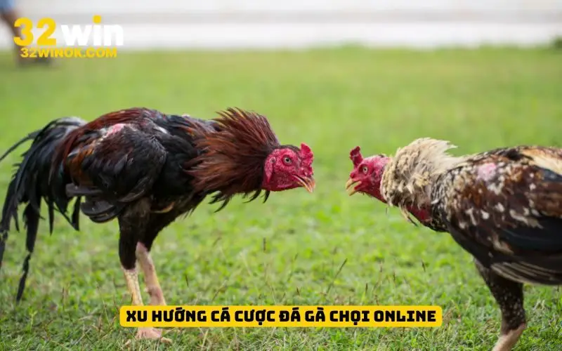 Xu hướng cá cược đá gà chọi online